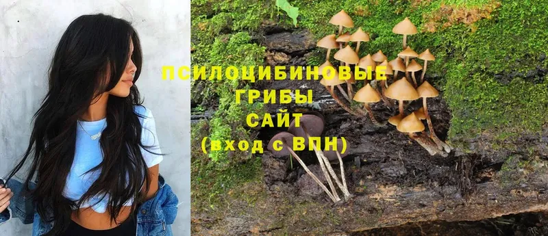 Псилоцибиновые грибы MAGIC MUSHROOMS  магазин    Анадырь 